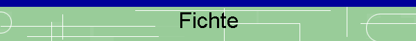 Fichte