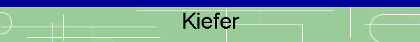 Kiefer